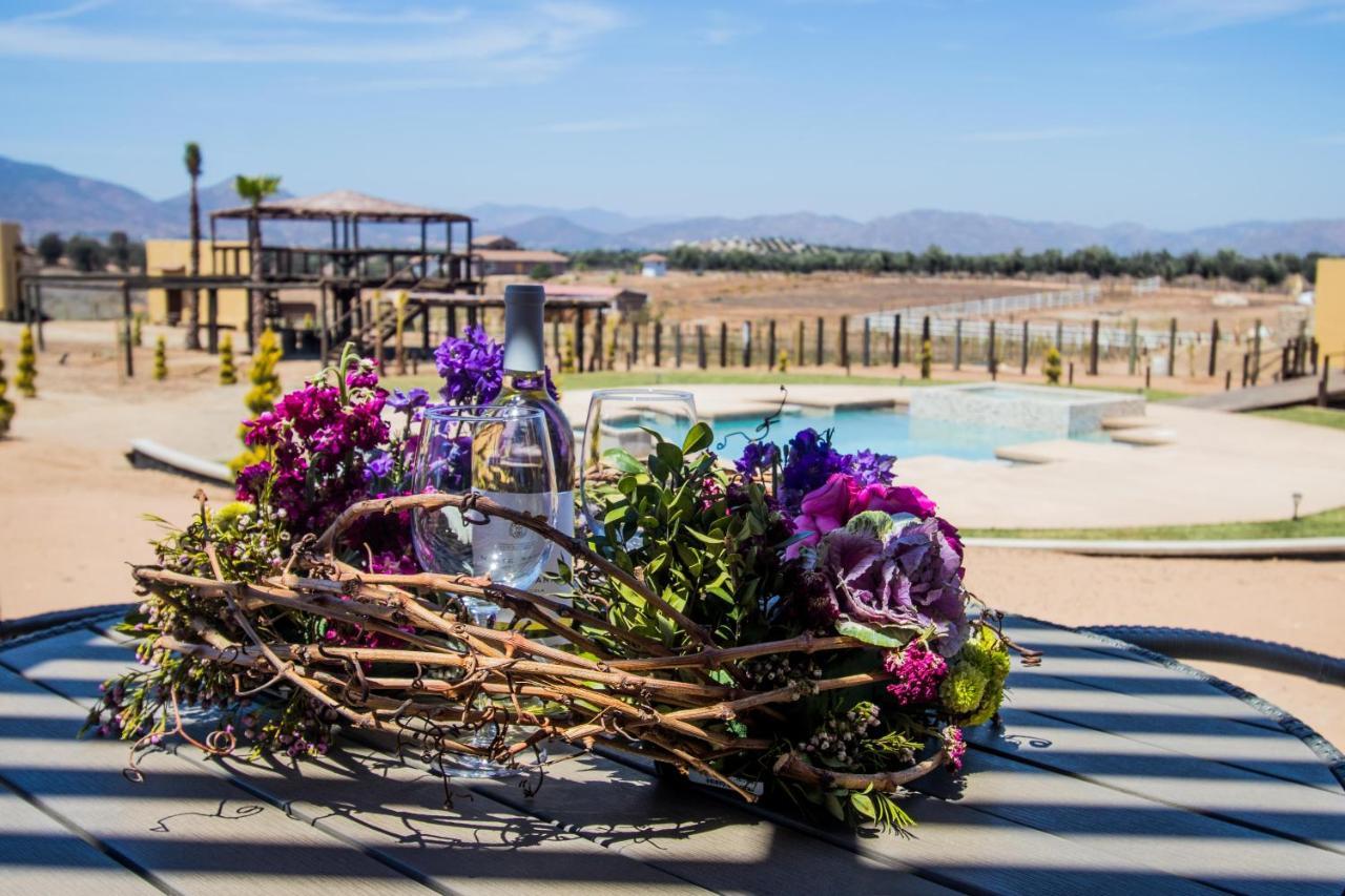Cuatro Lunas Hotel Boutique Valle de Guadalupe Εξωτερικό φωτογραφία