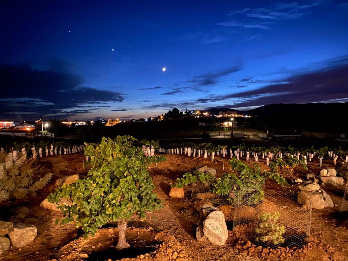 Cuatro Lunas Hotel Boutique Valle de Guadalupe Εξωτερικό φωτογραφία
