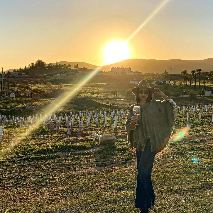 Cuatro Lunas Hotel Boutique Valle de Guadalupe Εξωτερικό φωτογραφία