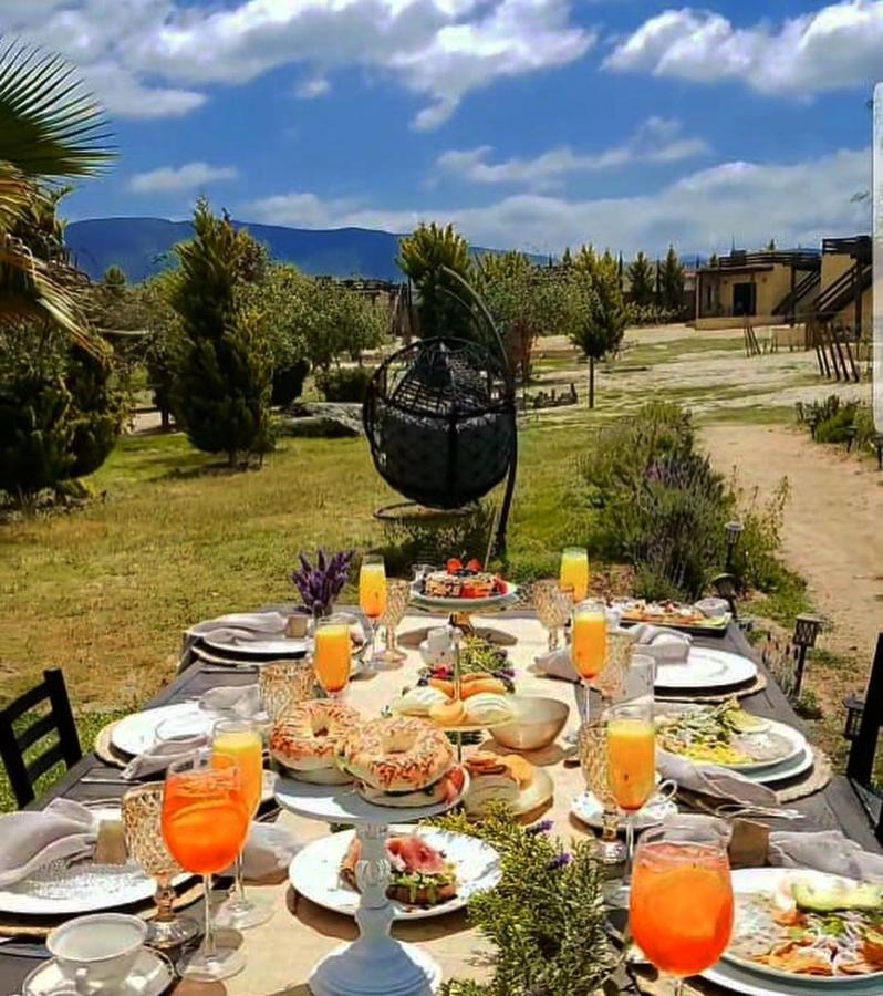 Cuatro Lunas Hotel Boutique Valle de Guadalupe Εξωτερικό φωτογραφία